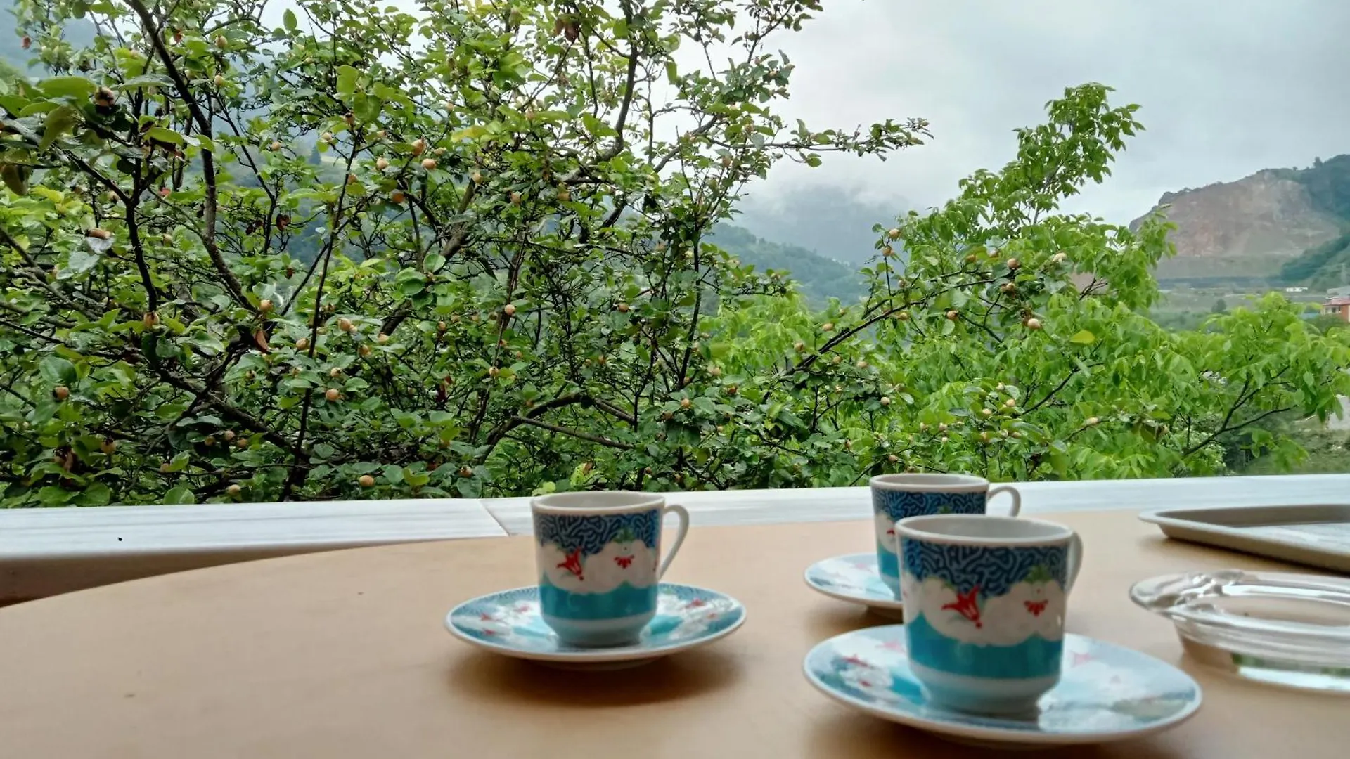 Apartment Hamsikoey Green Garden Trabzon